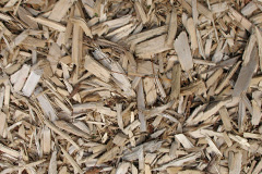biomass boilers Bryn Golau
